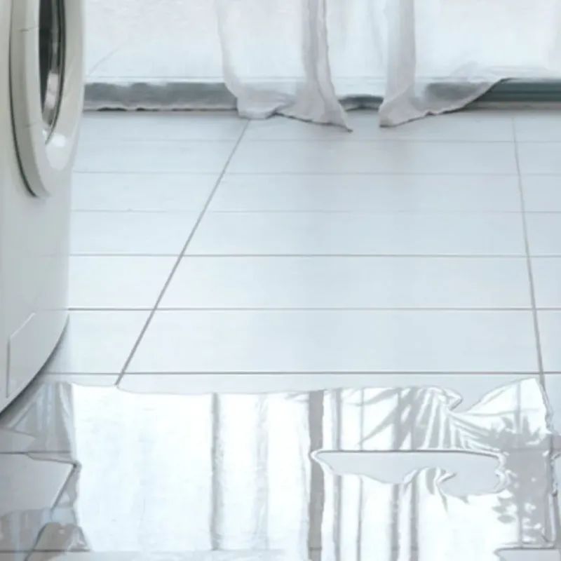 Appliance Leak Cleanup in Morgan County, AL