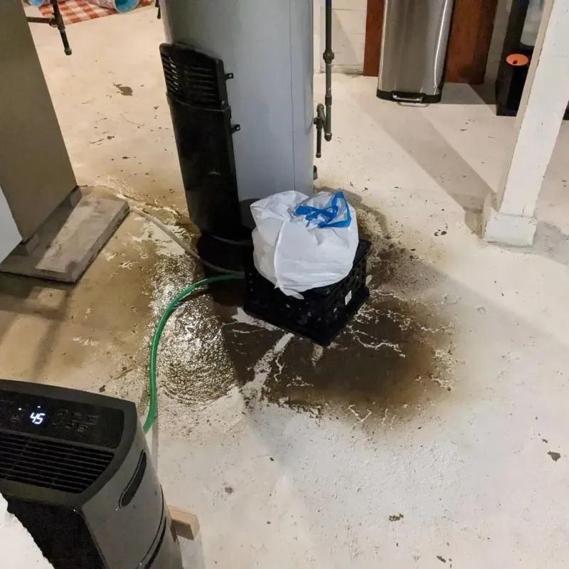 Sewage Backup Cleanup Service in Morgan County, AL